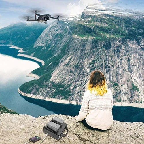 DJI Smatree - Stand-alone Laadstation SP150 6 DJI Smatree - Stand-alone Laadstation SP150 - Afbeelding 4